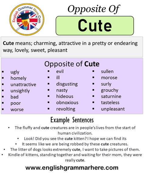 antonym for cute|opposite of adorable.